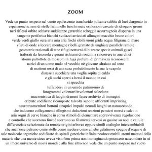 Poesia ZOOM
